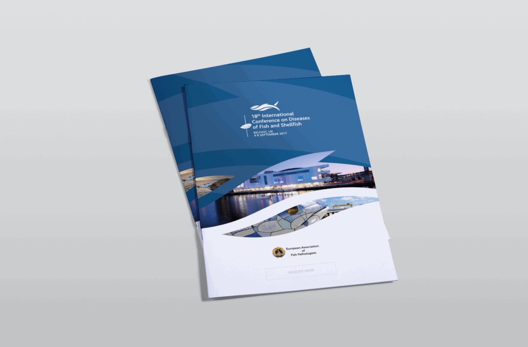 Printing - A4 Booklets