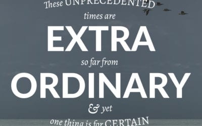 Extra Ordinary