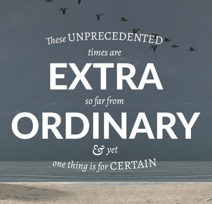 Extra Ordinary